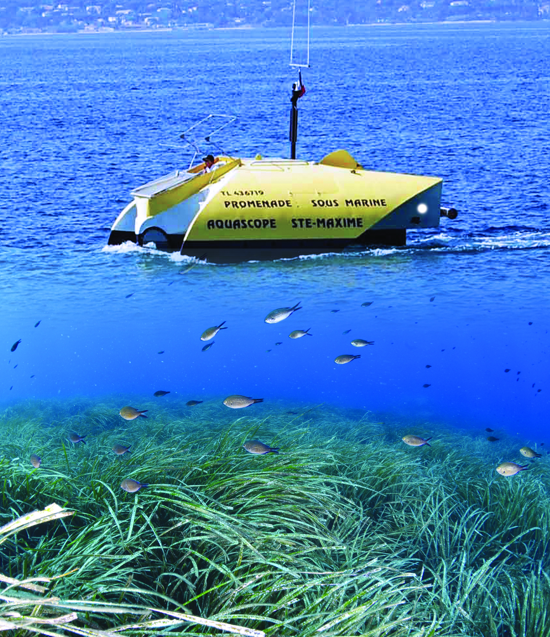 bateauxverts/aquascope