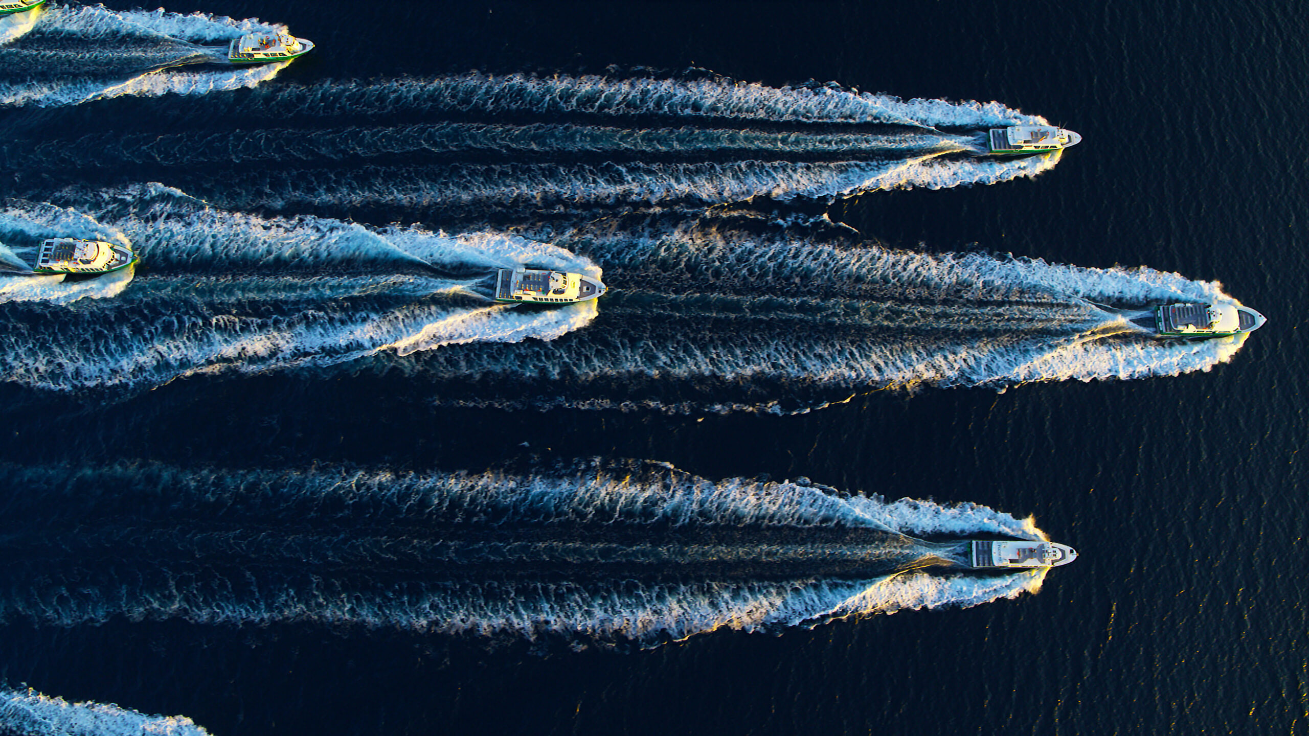 Bateaux Verts - La flotte