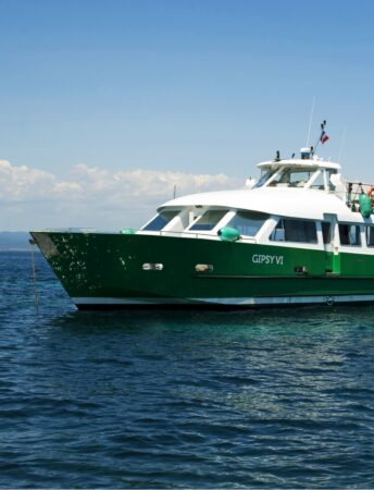 le Sainte Marguerite Les Bateaux Verts Navettes Et Excursions le-sainte-marguerite-les-bateaux-verts-navettes-et-excursions